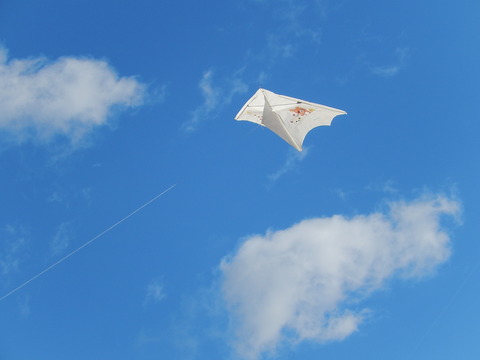 DSCN1264