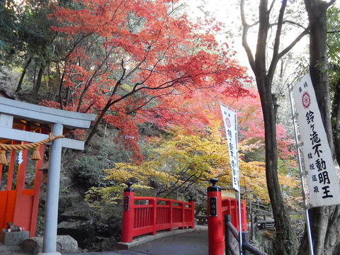 DSCN9287