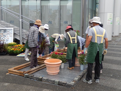 DSCN6790