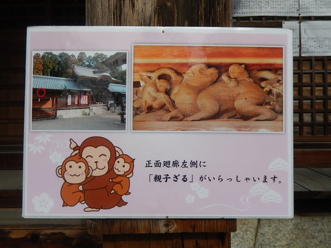 DSCN0155