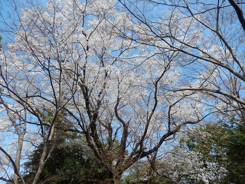 DSCN1809