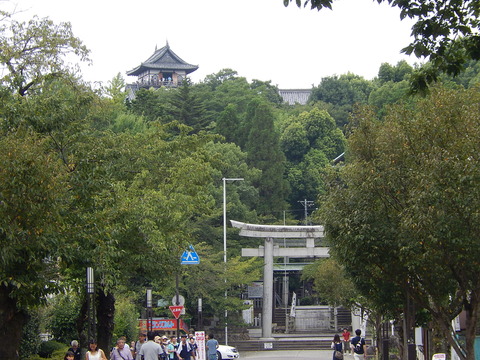 DSCN5415