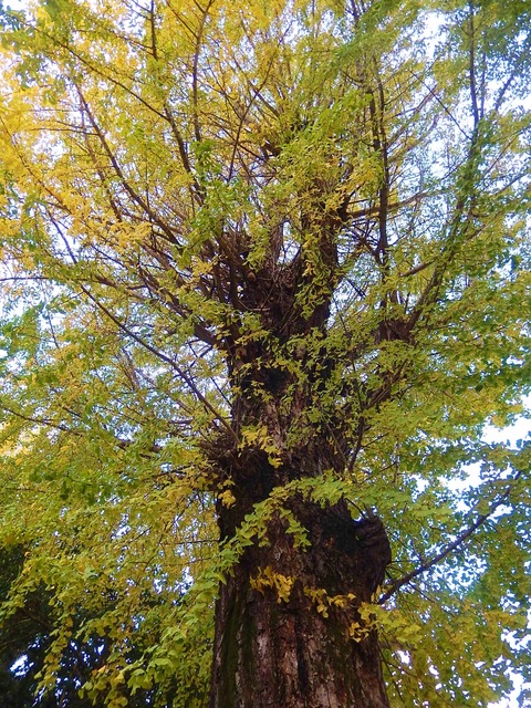 DSCN8005
