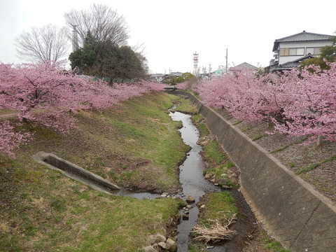 DSCN1800