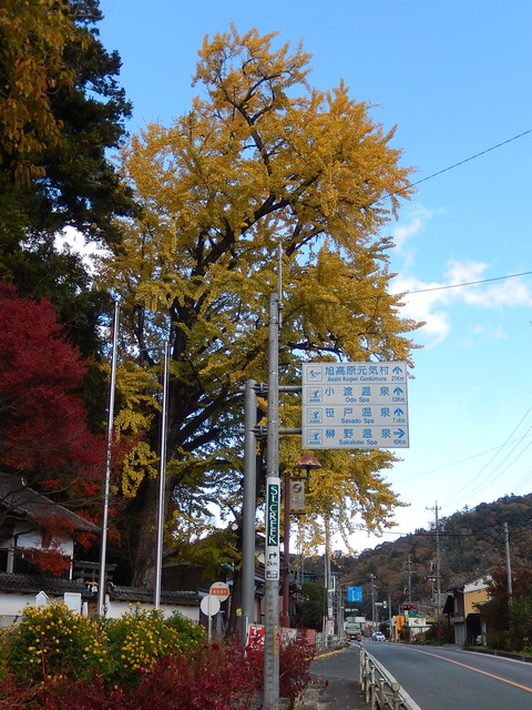 DSCN8242