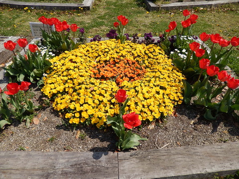 DSCN0714