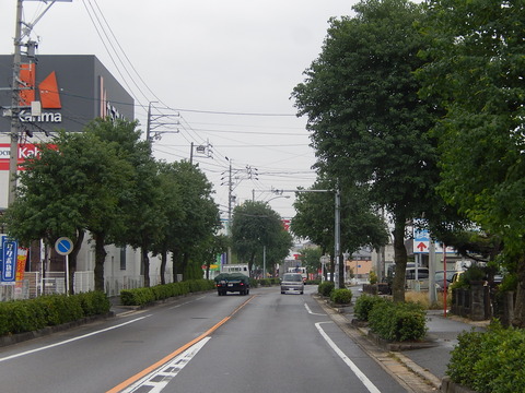 DSCN6587