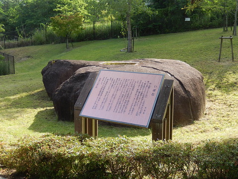 DSCN4492