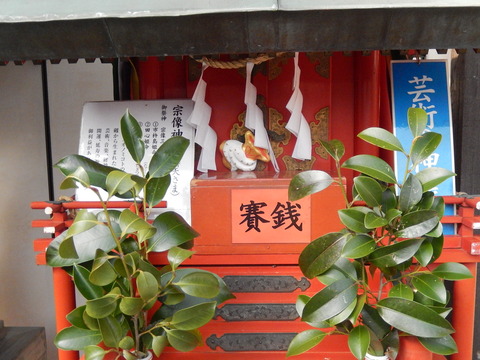 DSCN9237