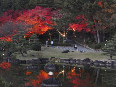 DSCN9162
