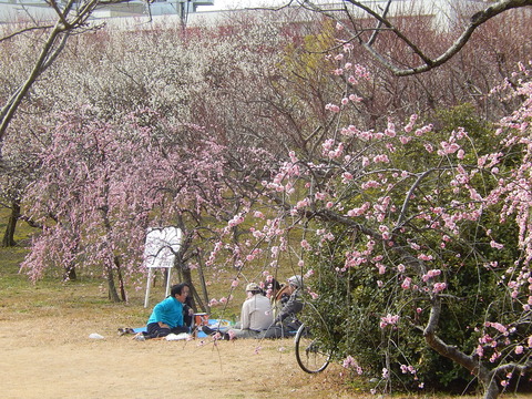 DSCN1370