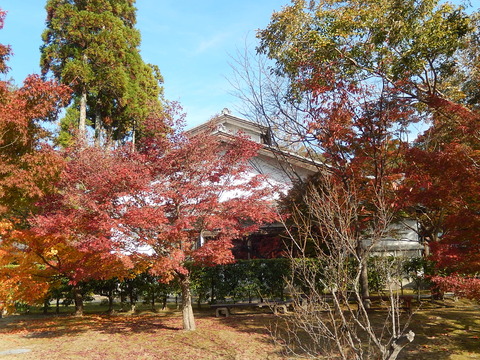 DSCN9688