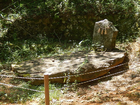 DSCN6042