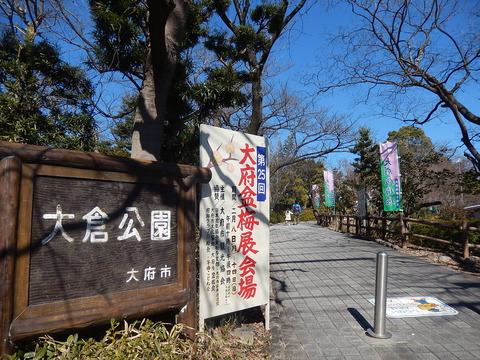 DSCN0936