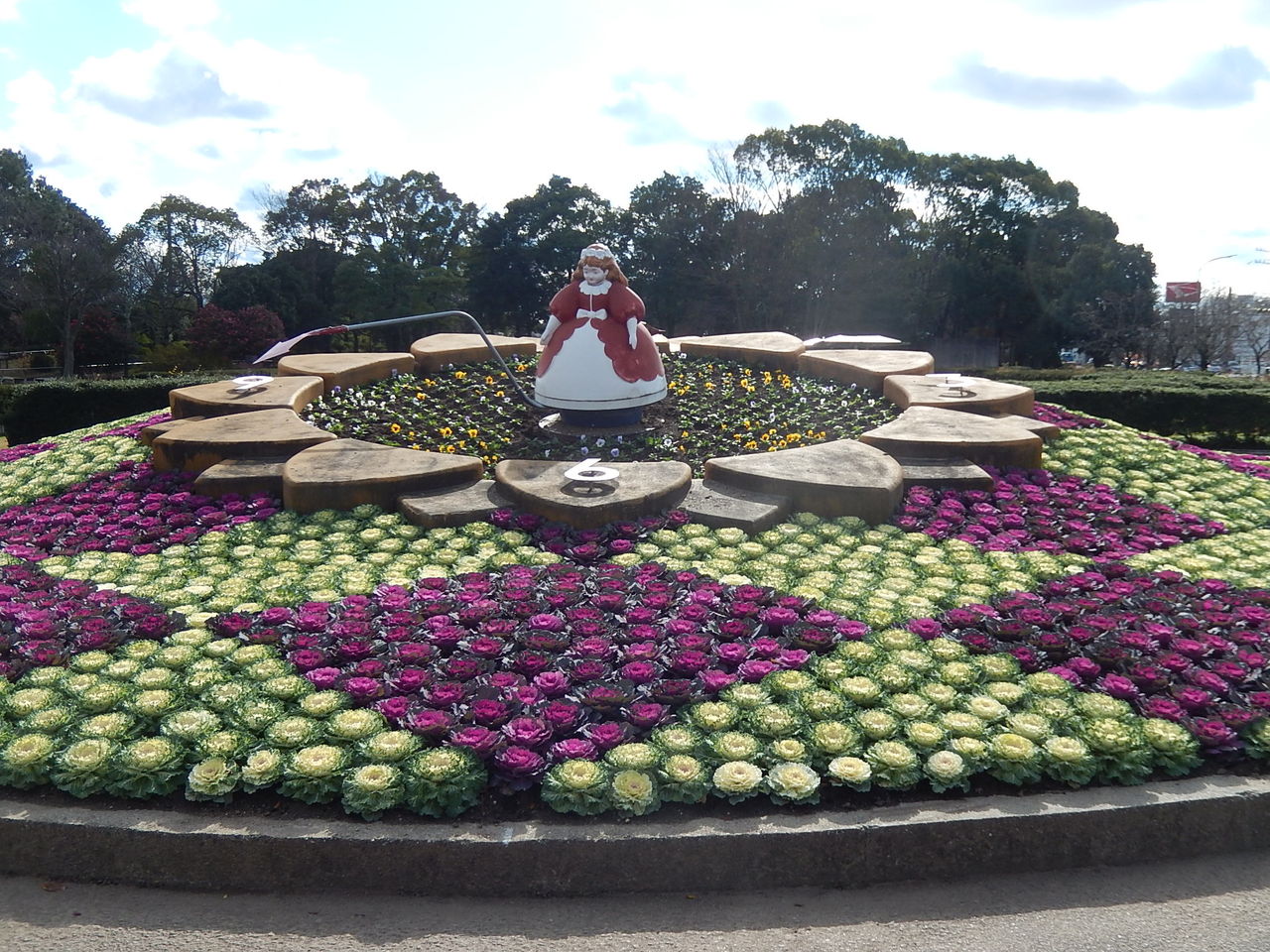 葉ボタンで飾られた西山公園の花時計 15冬 やつば池散歩道 豊田市 のブログ 葉ボタンで飾られた西山公園の花時計 15冬 やつば池散歩道 豊田市 のブログ