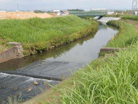 DSCN8627