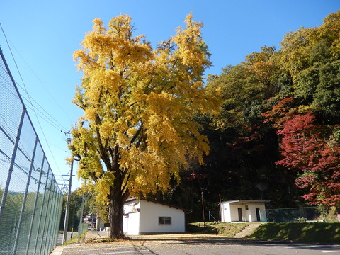 DSCN8036