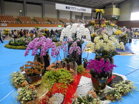 DSCN1515