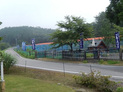 DSCN4193