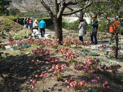 DSCF0024