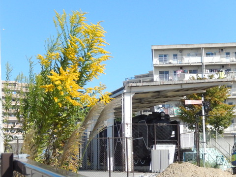 DSCN8186