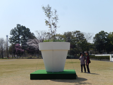 DSCN2140