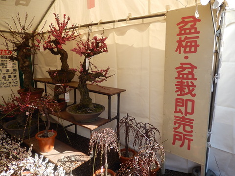 DSCN0761