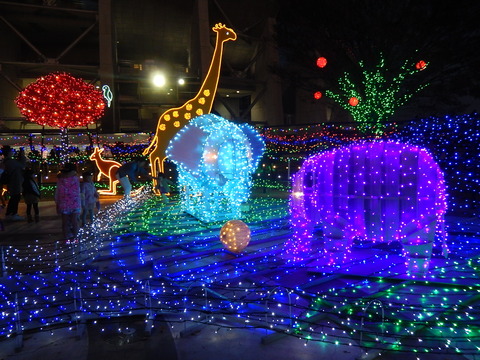 DSCN8642