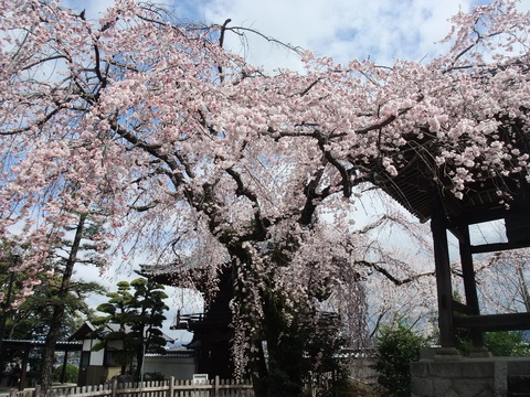 DSCF0034