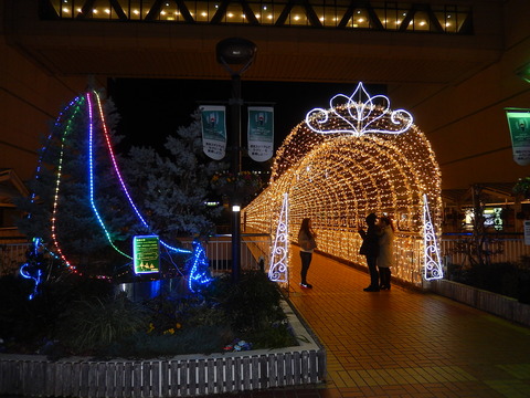 DSCN9126