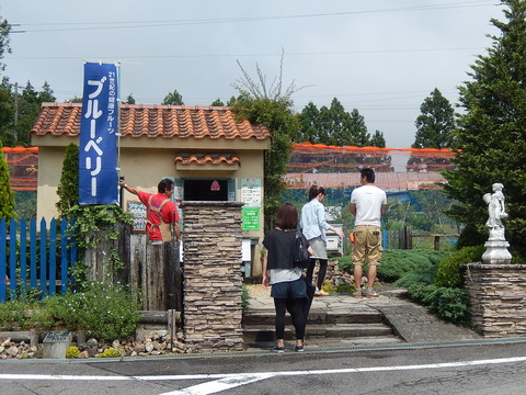 DSCN4224