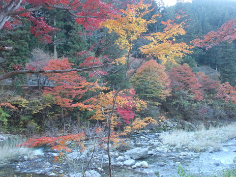DSCF0007
