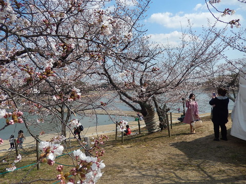 DSCN2788