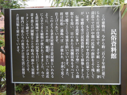 DSCN8724