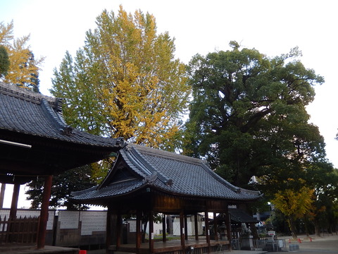 DSCN8002