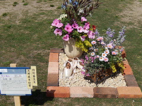 DSCN8762