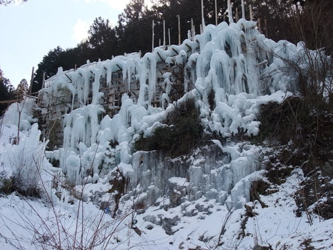 DSCF0104