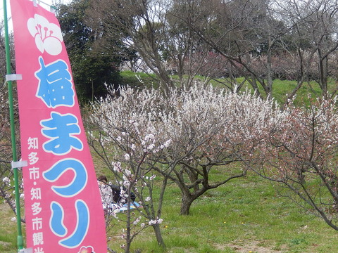DSCN1754