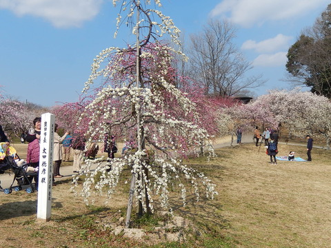 DSCN1425