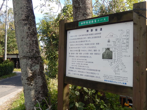 DSCN7500
