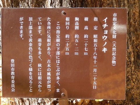 DSCN9620