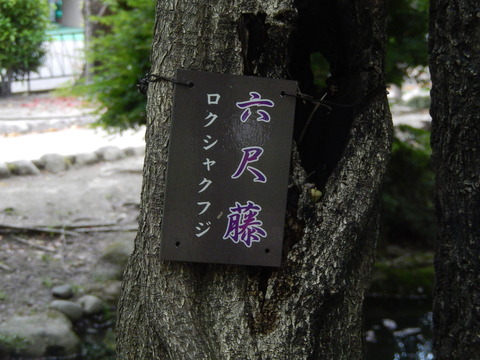 DSCN2992