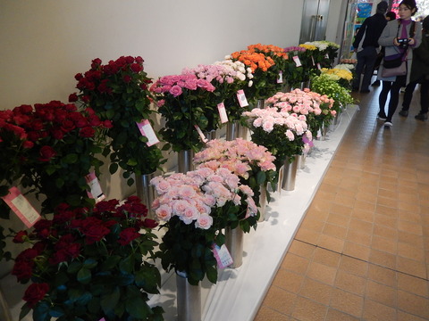 DSCN0242