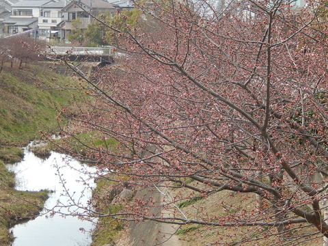 DSCN1426