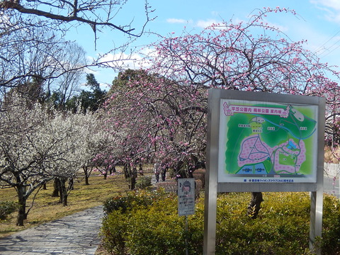 DSCN0753