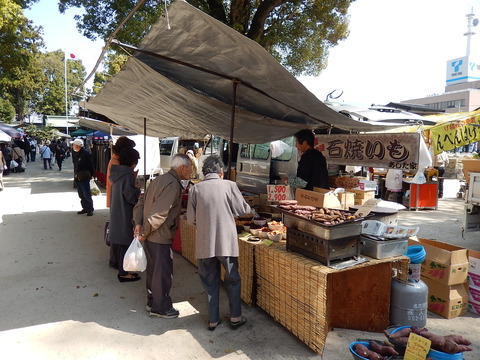 DSCN0667
