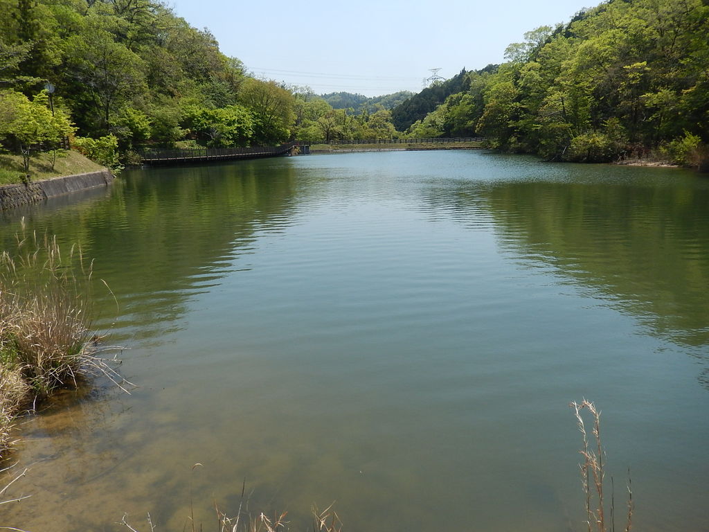 豊田市下川口町の溜め池、大沢池 : やつば池散歩道(豊田市)のブログ