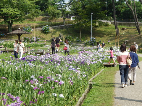 DSCN3282