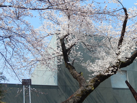 DSCN1831