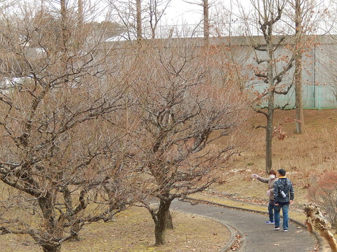 DSCN1552
